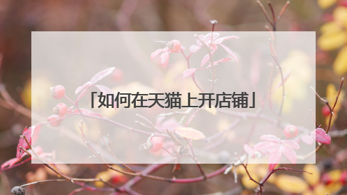 如何在天猫上开店铺