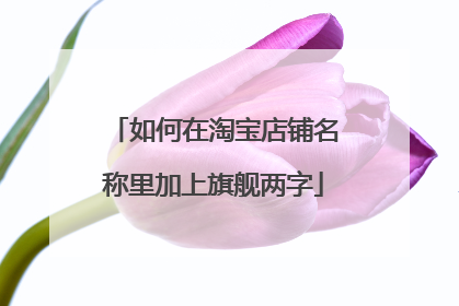 如何在淘宝店铺名称里加上旗舰两字