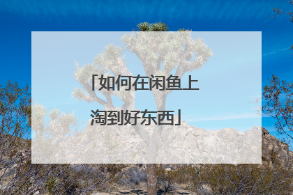 如何在闲鱼上淘到好东西