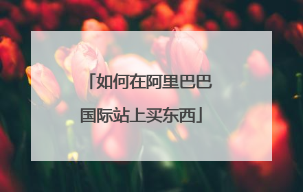 如何在阿里巴巴国际站上买东西