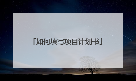 如何填写项目计划书