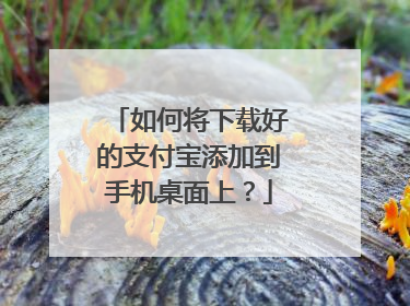 如何将下载好的支付宝添加到手机桌面上?