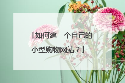 如何建一个自己的小型购物网站?