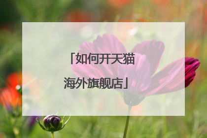 如何开天猫海外旗舰店