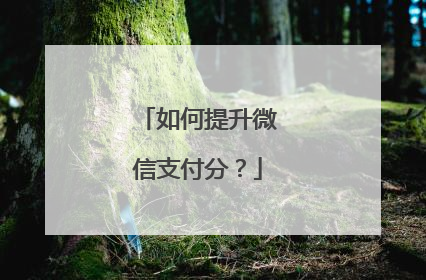 如何提升微信支付分？