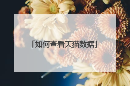如何查看天猫数据