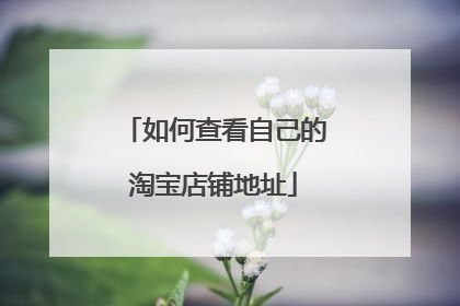 如何查看自己的淘宝店铺地址