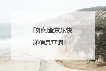 如何查京东快递信息查询