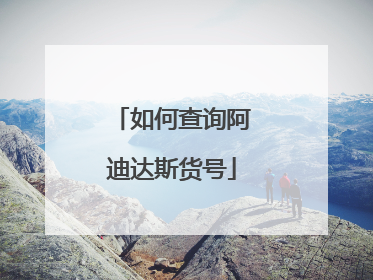 如何查询阿迪达斯货号