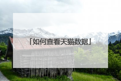 如何查看天猫数据