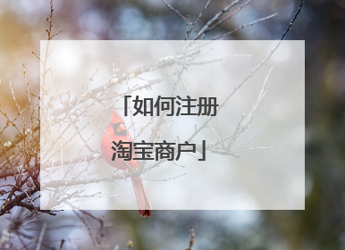 如何注册淘宝商户