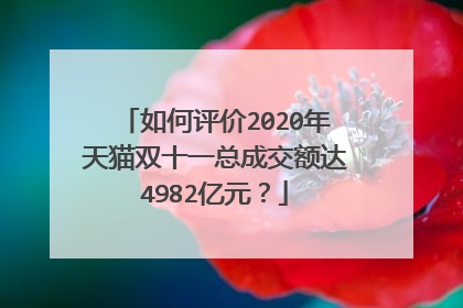 如何评价2020年天猫双十一总成交额达4982亿元?