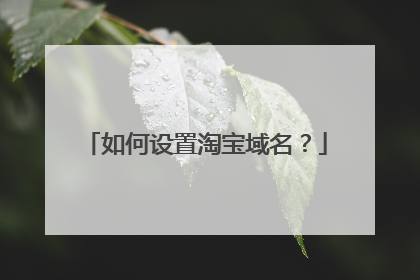 如何设置淘宝域名?