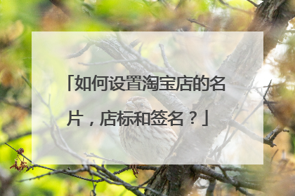 如何设置淘宝店的名片,店标和签名?