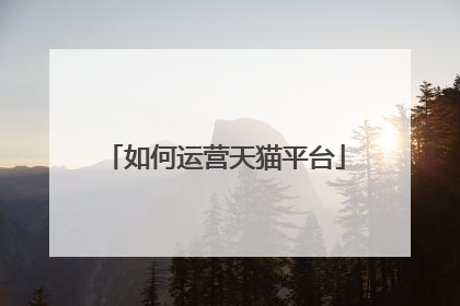 如何运营天猫平台