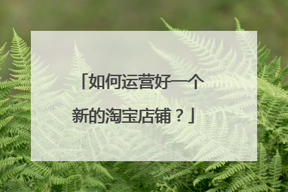 如何运营好一个新的淘宝店铺?