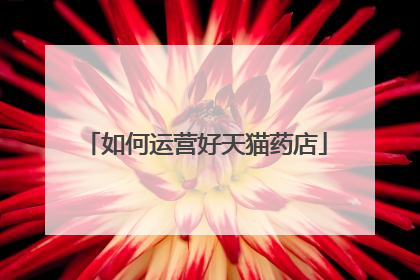 如何运营好天猫药店