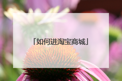 如何进淘宝商城