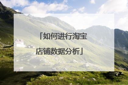 如何进行淘宝店铺数据分析