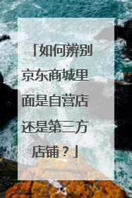 如何辨别京东商城里面是自营店还是第三方店铺?