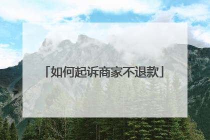 如何起诉商家不退款