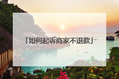 如何起诉商家不退款