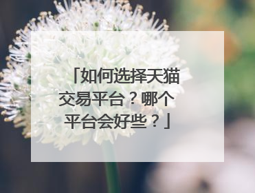如何选择天猫交易平台?哪个平台会好些?