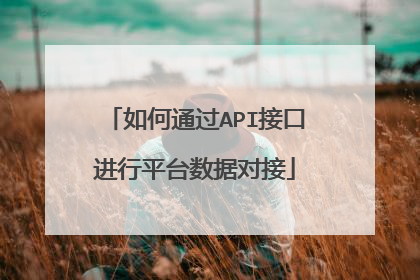 如何通过API接口进行平台数据对接