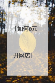 如何0元开网店