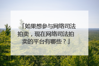 如果想参与网络司法拍卖，现在网络司法拍卖的平台有哪些？