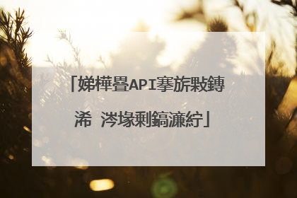 娣樺疂API搴旂敤鏄�浠�涔堟剰鎬濓紵