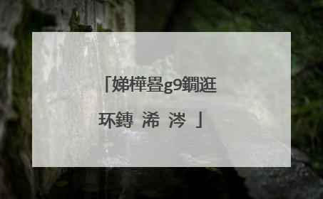 娣樺疂g9鐗逛环鏄�浠�涔�