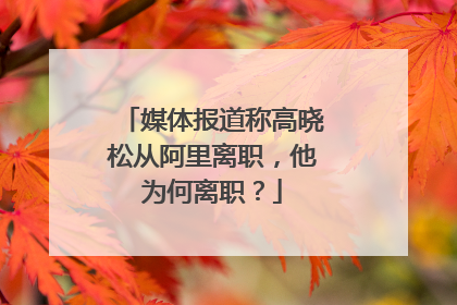 媒体报道称高晓松从阿里离职,他为何离职?