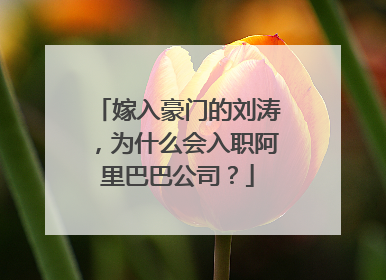 嫁入豪门的刘涛,为什么会入职阿里巴巴公司?