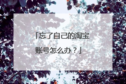 忘了自己的淘宝账号怎么办?