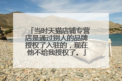 当时天猫店铺专营店是通过别人的品牌授权了入驻的，现在他不给我授权了。