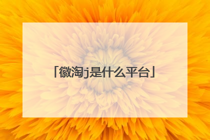徽淘j是什么平台