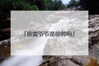 徐雷爷爷是徐帅吗