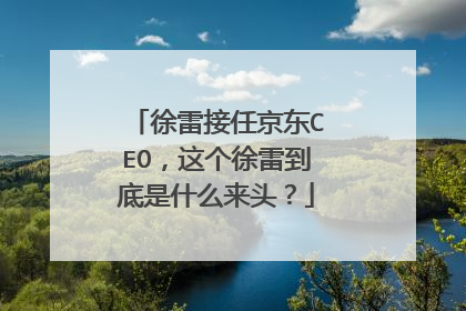 徐雷接任京东CEO，这个徐雷到底是什么来头？