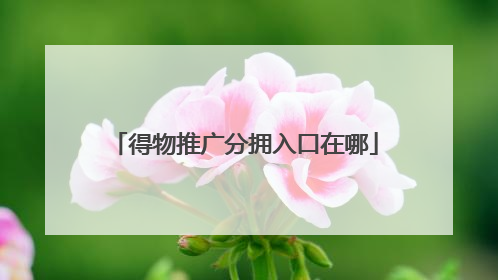 得物推广分拥入口在哪
