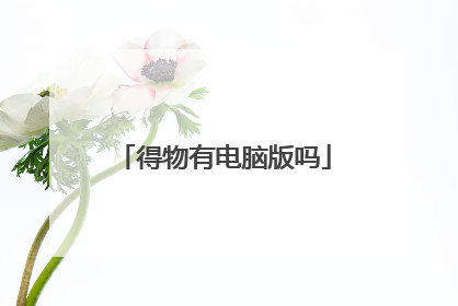 得物有电脑版吗