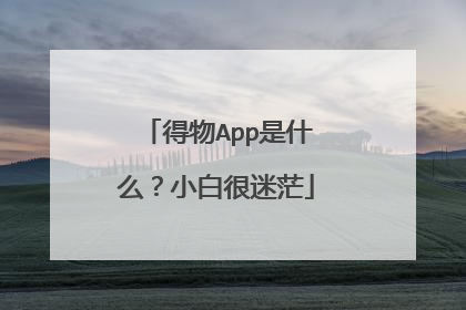 得物App是什么?小白很迷茫