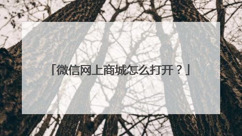 微信网上商城怎么打开?