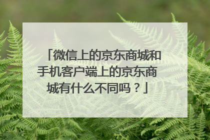 微信上的京东商城和手机客户端上的京东商城有什么不同吗?