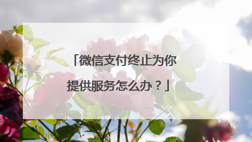 微信支付终止为你提供服务怎么办?
