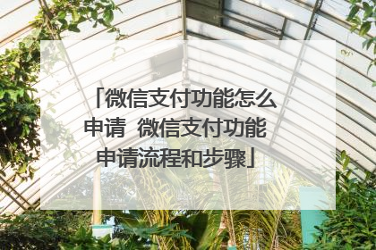 微信支付功能怎么申请 微信支付功能申请流程和步骤