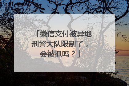 微信支付被异地刑警大队限制了，会被抓吗？