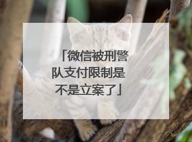 微信被刑警队支付限制是不是立案了