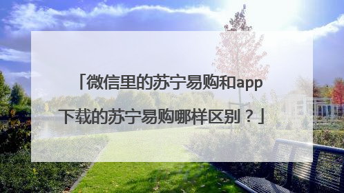 微信里的苏宁易购和app下载的苏宁易购哪样区别？