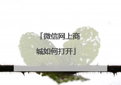 微信网上商城如何打开